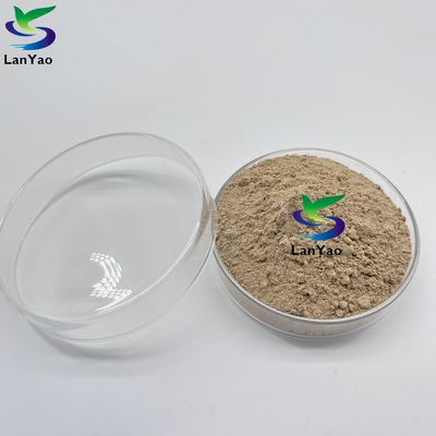 Aërobe anaërobe antibiotica Aërobe anaërobe bacteriën in afvalwaterbehandeling Bacteriële cultuur