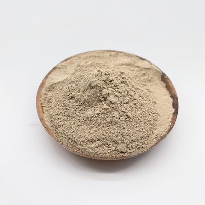 Biochemische waterzuivering met biobacteriën en ISO 14001-certificering Een winnende combinatie